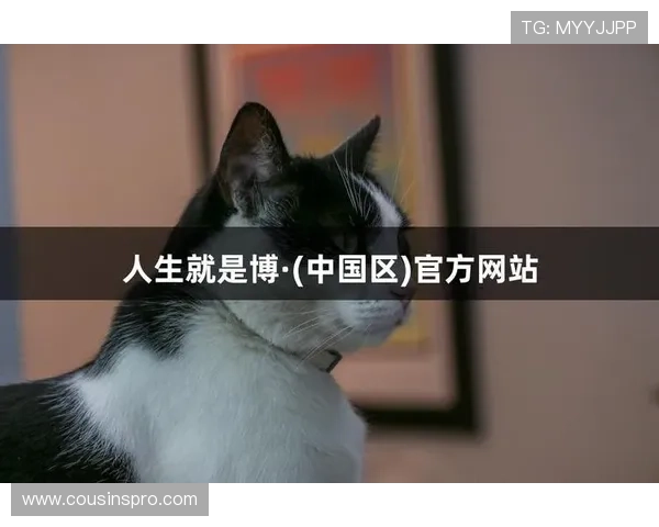 探索尊龙人生就是博电脑版登录带来的全新乐趣