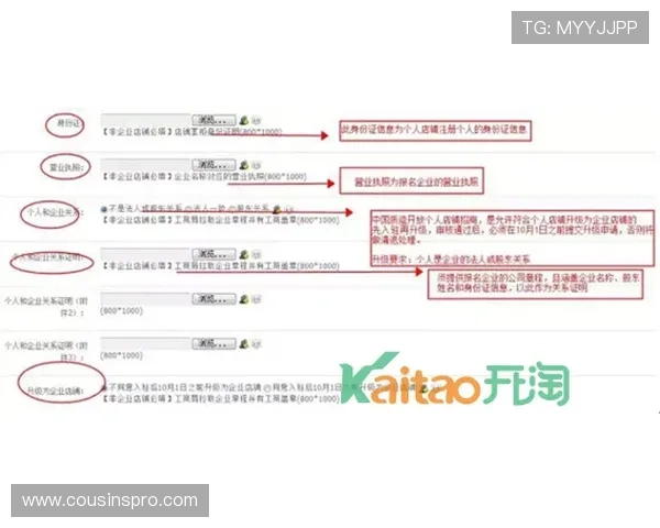 凯时电竞赛事报名流程详解：快速参与热门比赛的完整步骤与注意事项