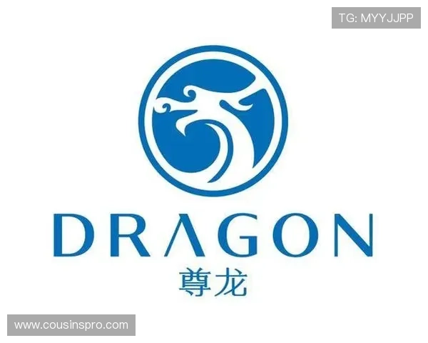 d88尊龙平台官网官方正版登录入口，确保每一次游戏都安全可靠